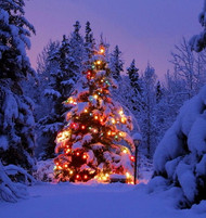 Cyber Weekend Deals - Gifts for the Holidays