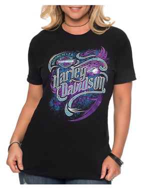 Harley Davidson Clearance And Closeouts Wisconsin Harley Davidson