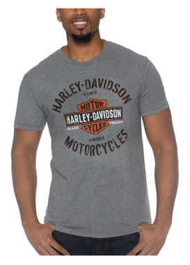 Harley-Davidson Men's Gray McRays Short Sleeve Crew Neck T-Shirt R003451 