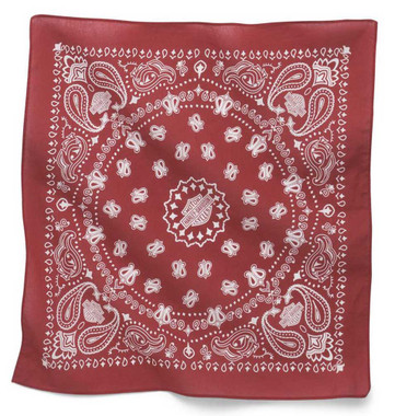 Harley-Davidson® American Heritage Paisley Bandana - Peacoat