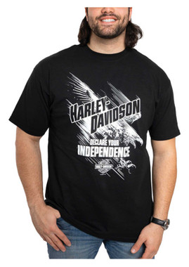 Harley-Davidson Men's Free Flyer Crew-Neck Short Sleeve Cotton T-Shirt - Black - Wisconsin Harley-Davidson