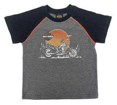 Harley-Davidson Little Boys' Distressed Short Sleeve Knit Raglan Tee, Gray - Wisconsin Harley-Davidson