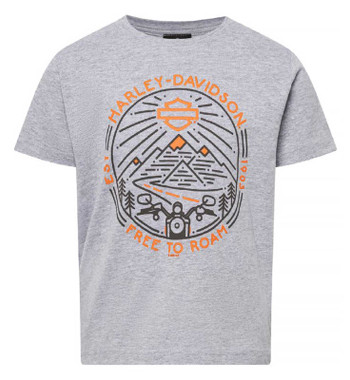 Harley-Davidson Boy's Nomad Free To Roam Short Sleeve Toddler Tee, Heather Gray - Wisconsin Harley-Davidson