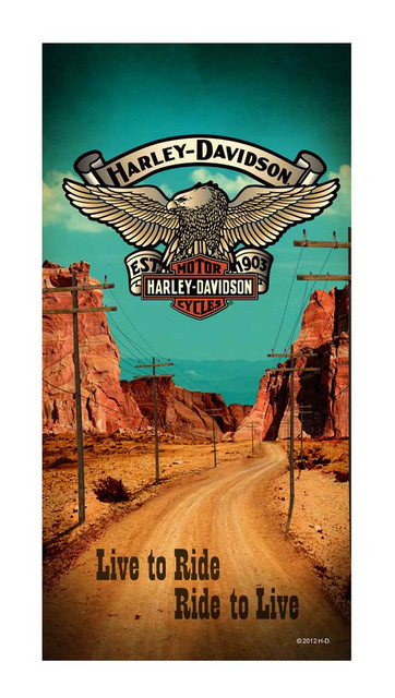 Harley-Davidson Desert Road Bar & Shield Eagle Beach Towel, 30 x 60 inch, 11896 - Wisconsin Harley-Davidson