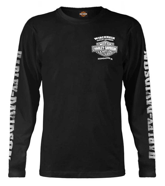 Harley-Davidson® Men's Skull Lightning Crest Graphic Long Sleeve