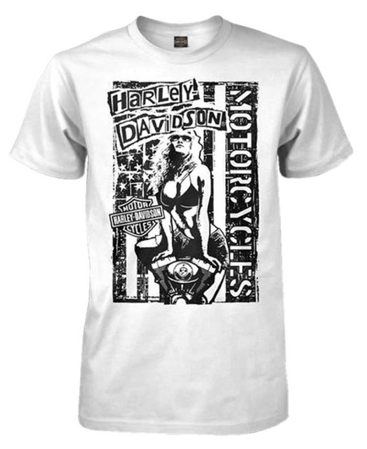 Harley-Davidson Men's Distressed Punk Rock Poster Short Sleeve T-Shirt, White - Wisconsin Harley-Davidson