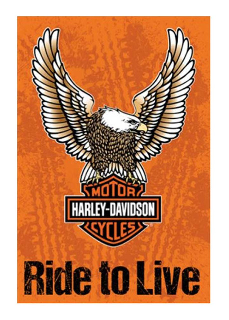 Harley-Davidson® Live To Ride Decorative Flag, 29 x 43in - Orange