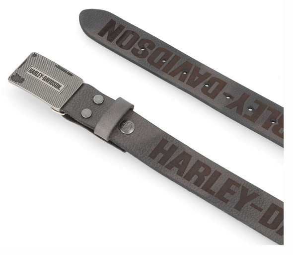 Harley-Davidson® Men's Grunge H-D Logo Repeat Genuine