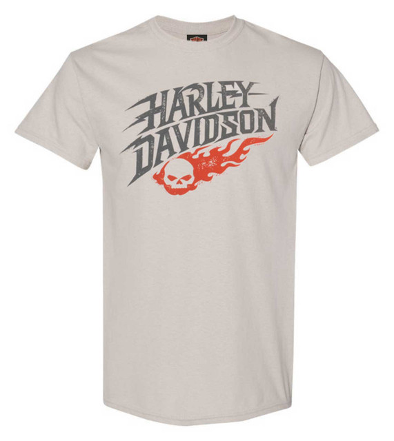 Harley-Davidson Men's Thunder Roll Short Sleeve Crew-neck T-Shirt, Cement Gray - Wisconsin Harley-Davidson