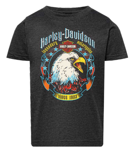 Harley-Davidson Boy's Glare Short Sleeve Crew-Neck Youth Tee, Vintage Smoke - Wisconsin Harley-Davidson