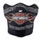 Harley-Davidson Men's Pinstripe Bar & Shield Flames Face Mask, Black 99436-16VM - Wisconsin Harley-Davidson