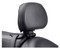 Harley-Davidson Free Shipping - Harley-Davidson Adjustable Rider Backrest, Fits Softail Models, Black 52300409 - Free Shipping on many products plus Orders Over $99