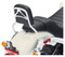 Harley-Davidson Free Shipping - Harley-Davidson HoldFast Sissy Bar Upright - Standard Height, Chrome 52300432 - Free Shipping on many products plus Orders Over $99