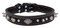 Harley-Davidson 1 in. Adjustable Leather Spiked Premium Dog Collar - 20 in. - Wisconsin Harley-Davidson