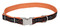 Harley-Davidson Adjustable Designer Ribbon Premium Dog Collar - Black & Orange - Wisconsin Harley-Davidson