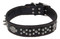 Harley-Davidson Free Shipping - Harley-Davidson 1.5 in. Adjustable Double Row Spiked Leather Dog Collar - Black - Free Shipping on many products plus Orders Over $99