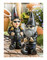 Harley-Davidson Sculpted Male & Lady Biker Themed Garden Gnome Set - Black - Largest Selection of Harley-Davidson Products