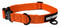Harley-Davidson Nylon H-D Rubber Logo Adjustable Pet Collar - Solid Orange - Wisconsin Harley-Davidson