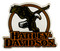 Harley-Davidson Eagle Eye H-D Script Hard Acrylic Magnet - 4 x 3.5 inches - Wisconsin Harley-Davidson