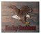 Harley-Davidson Hand Painted Resin Swooping Eagle Wooden Pub Sign, 24 x 20 inch - Wisconsin Harley-Davidson