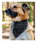 Harley-Davidson Repeat Bar & Shield Pet Tie Bandana - Large/X-Large, Gray - No Hassle Returns at Wisconsin Harley
