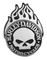 Harley-Davidson 1.5 in. Willie G Skull Flames Metal Pin, Silver & Black Finishes - Wisconsin Harley-Davidson