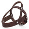 Harley-Davidson Genuine Leather Dog Harness, Embossed H-D Logo - Brown - Wisconsin Harley-Davidson