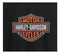 Harley-Davidson Women's Essential Rhinestone Pullover Hoodie, Black 96748-25VW - Largest Selection of Harley-Davidson Products