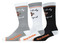 Harley-Davidson Women's 3-Pack Be A Legend Logo Moisture Wicking Mid-Calf Socks - Wisconsin Harley-Davidson