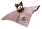 Harley-Davidson Toddler 'Kitty' Leopard Blanket Pal Plush, Dusty Mauve - Wisconsin Harley-Davidson