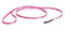 Harley-Davidson Barb Wire Vibrant Nylon Dog Leash 3/8'' x 4' Pink H0364-PBW04 - Wisconsin Harley-Davidson