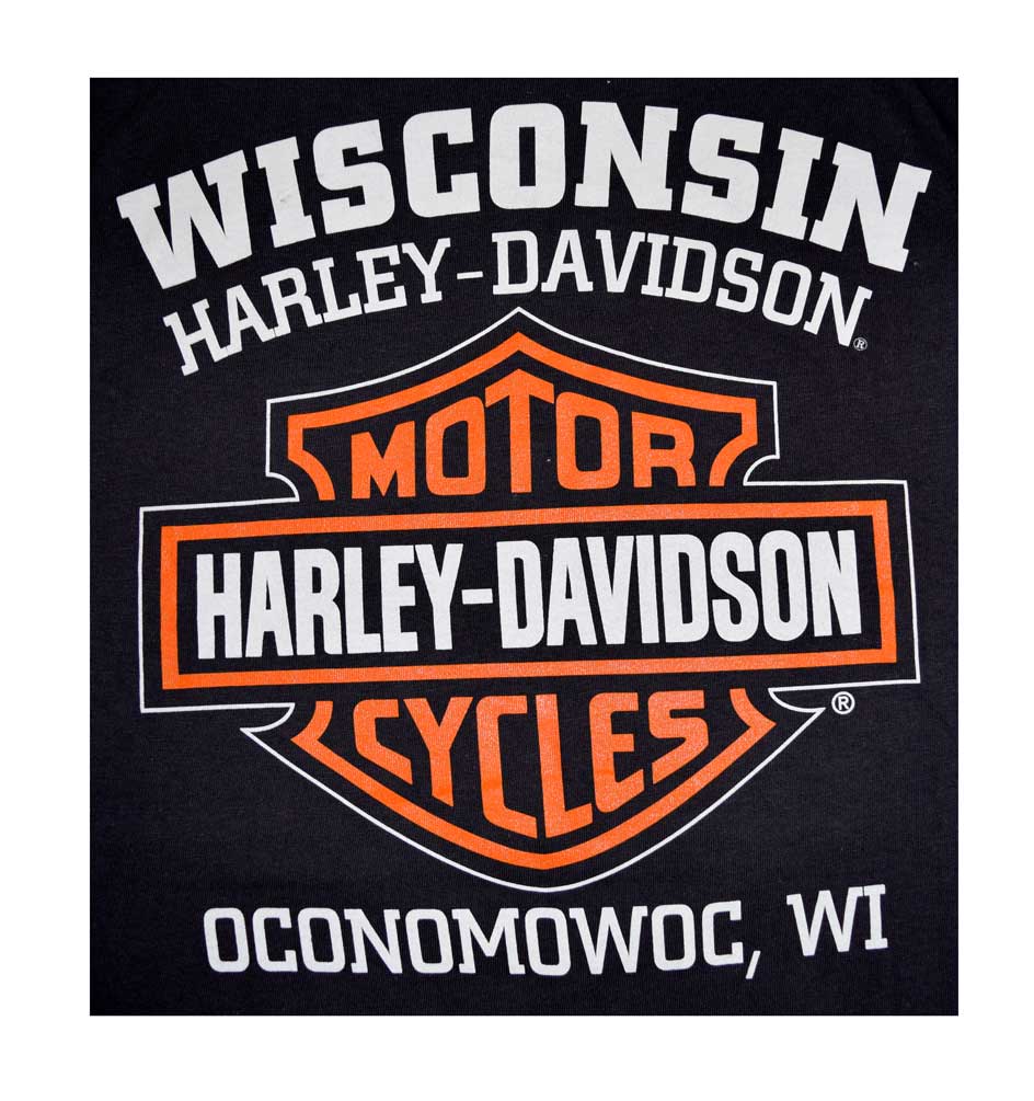Harley-Davidson ロゴ スウェット M ハーレーダビッドソン ロゴ刺繍 スウェット メンズXL相当 古着