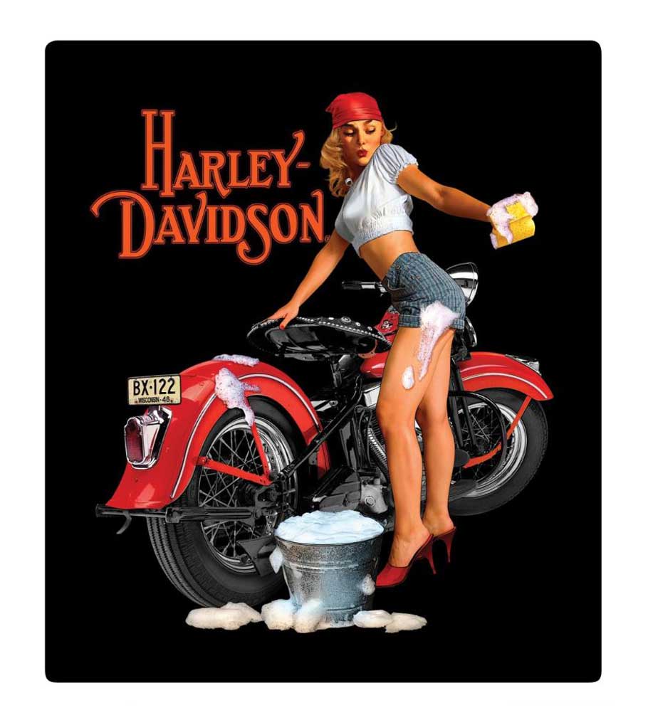 Harley-Davidson® Wash Babe Tin Metal Sign, 13 W x 15 H Inch
