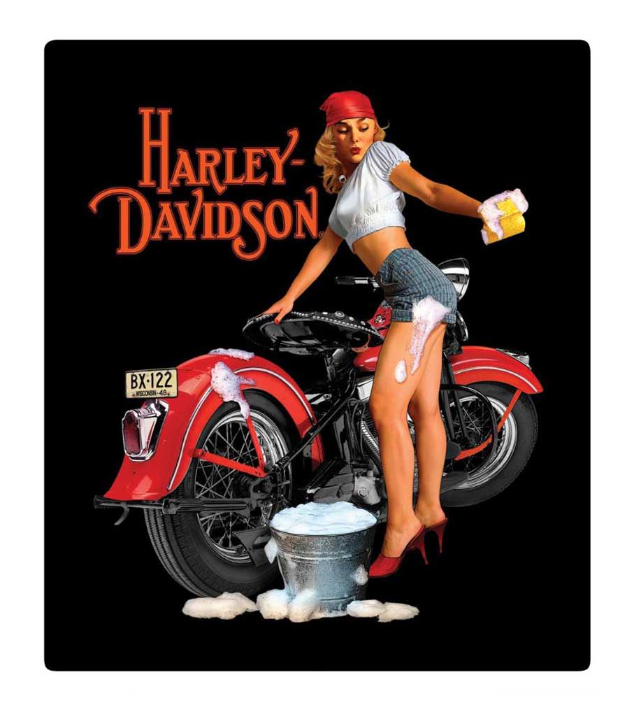 Harley-Davidson® Wash Babe Tin Metal Sign, 13 W x 15 H Inch 2010371