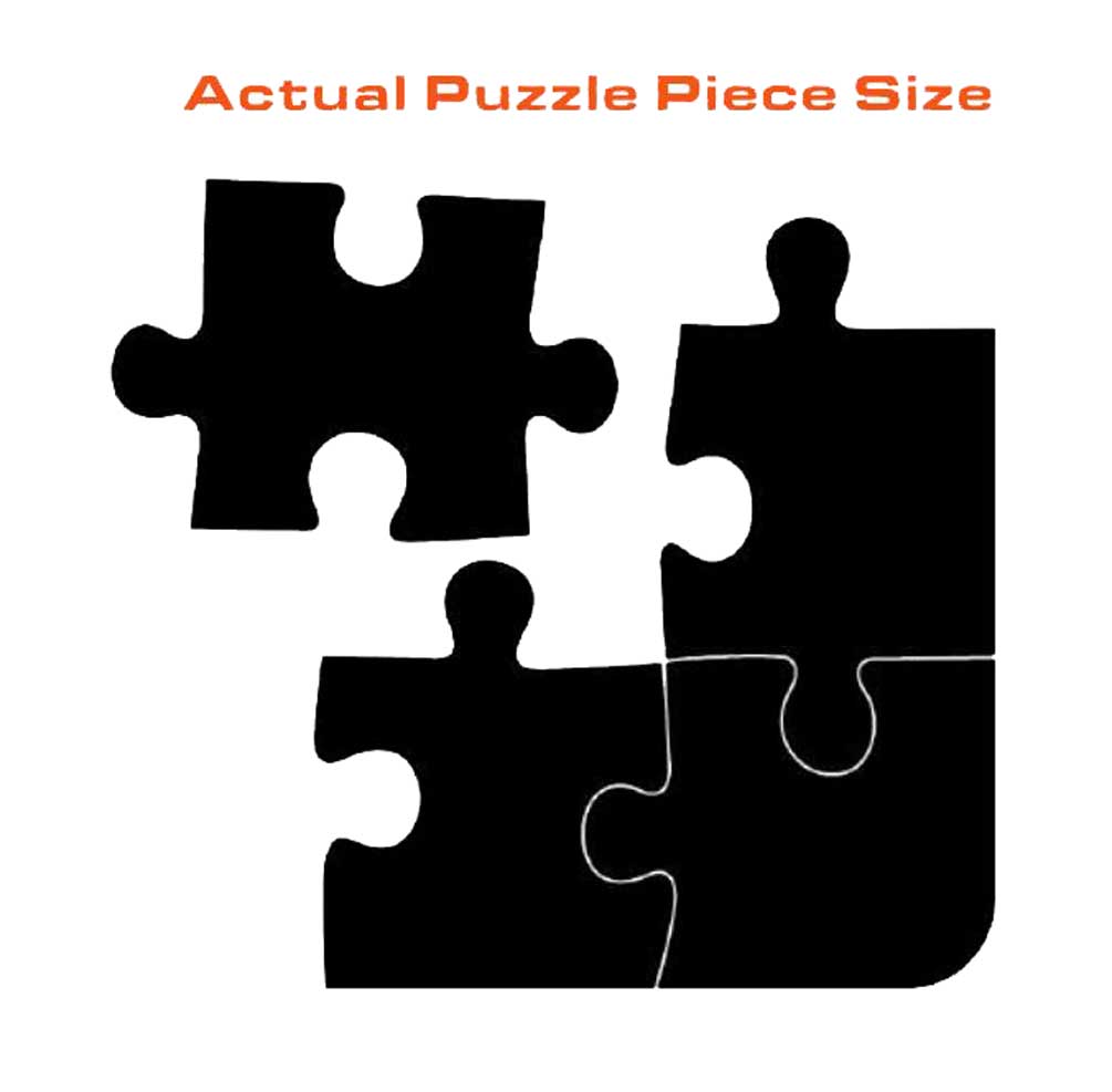 Harley-Davidson® Jigsaw Puzzle Collector's Edition, H-D Bike Lot, 21 x 33.5 6033 - No Hassle Returns at Wisconsin Harley