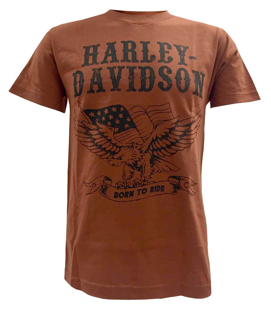 Harley-Davidson Men's Born To Ride Eagle Short Sleeve Graphic T-Shirt, Orange - Wisconsin Harley-Davidson