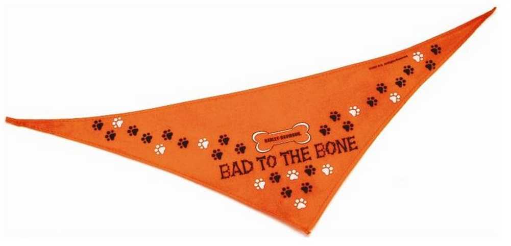 Harley-Davidson Bad To The Bone Petite Pet Bandana 17'' Orange H2301-H-OB117 - Wisconsin Harley-Davidson