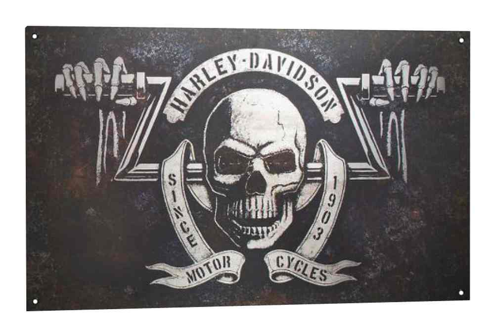 Harley-Davidson Distressed & Rusted Shadow Skull Tin Sign, 18 x 30 In 96885-16V - Wisconsin Harley-Davidson