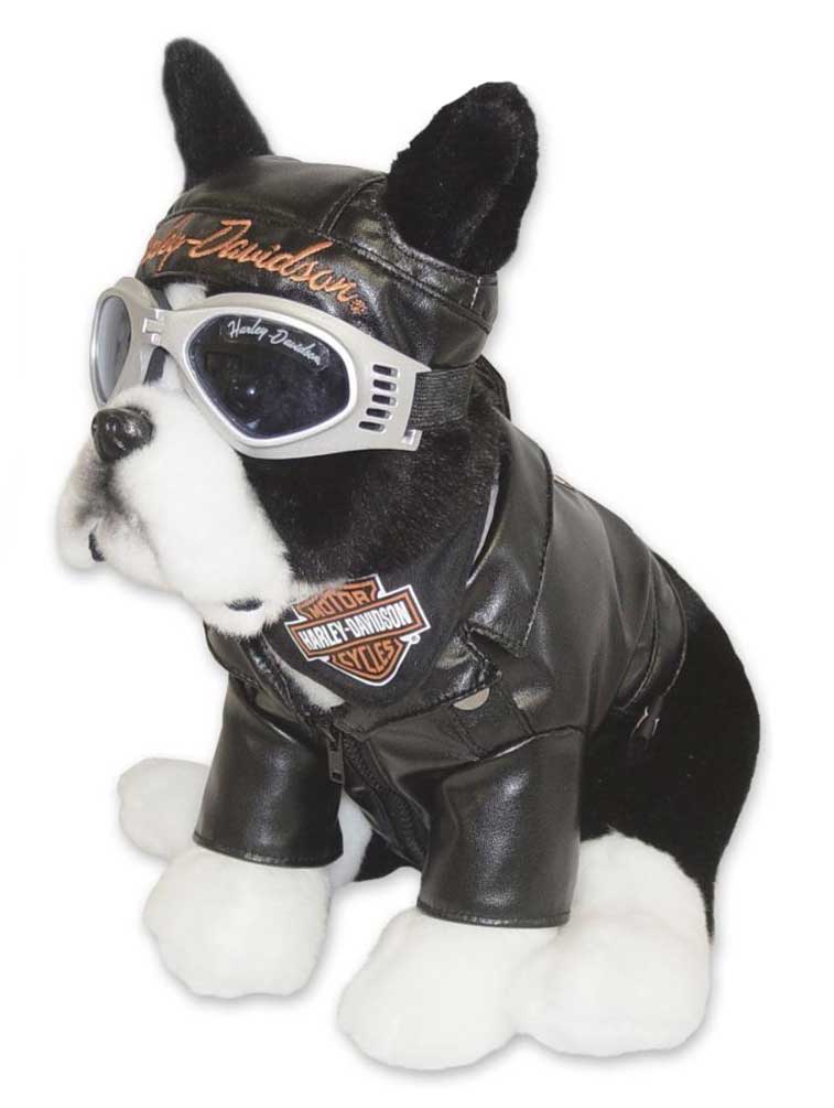 Harley Davidson Kid S Special Edition Sprocket Boston Terrier
