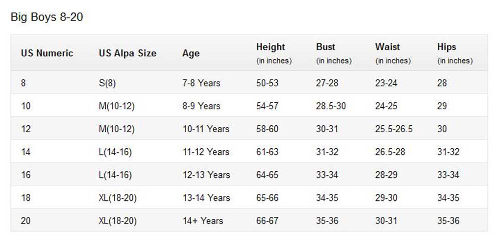 Harley-Davidson Free Shipping - Harley-Davidson Big Boys' Flames & Shield Short Sleeve Tee, Heather Gray 1590665 - Free Shipping on many products plus Orders Over $99