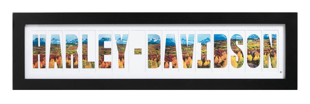 Harley-Davidson Collage Photo Frame, Mat w/ Cut-Out H-D Letters 96829-17V - Wisconsin Harley-Davidson