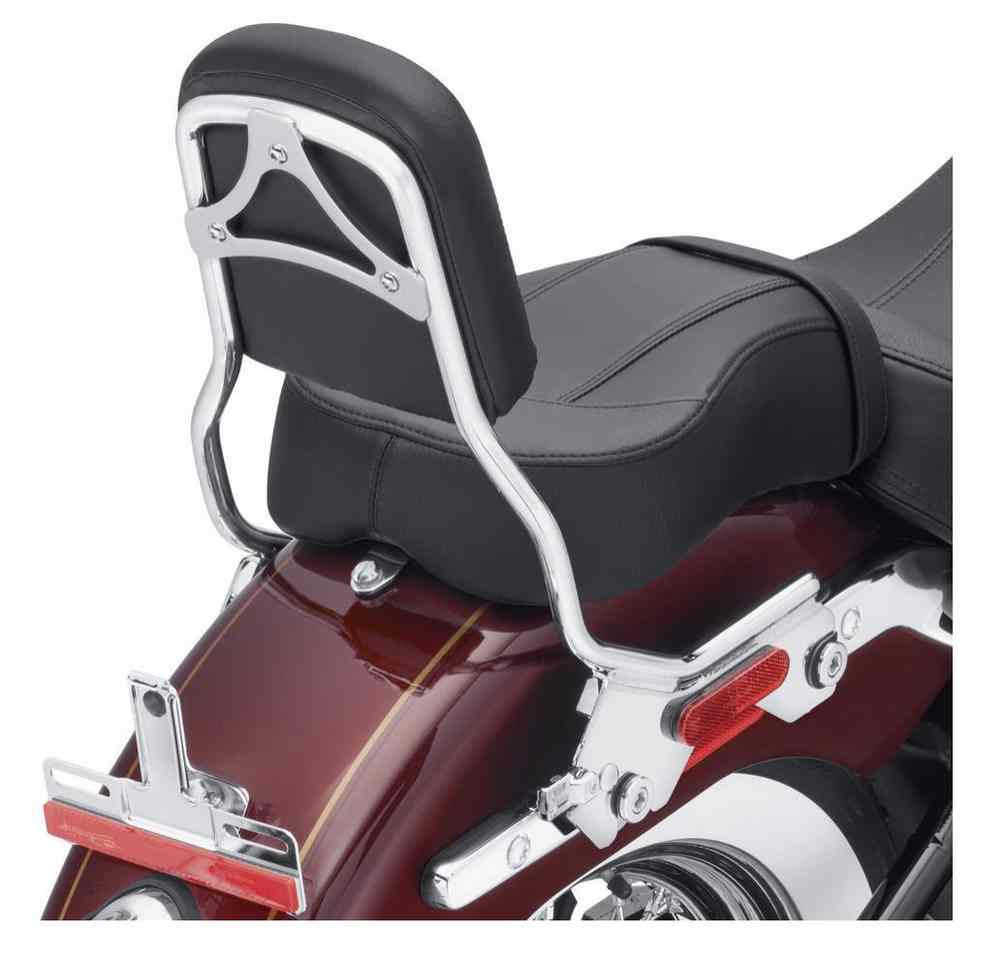 HarleyDavidson® HoldFast Sissy Bar Upright Standard Height Chrome
