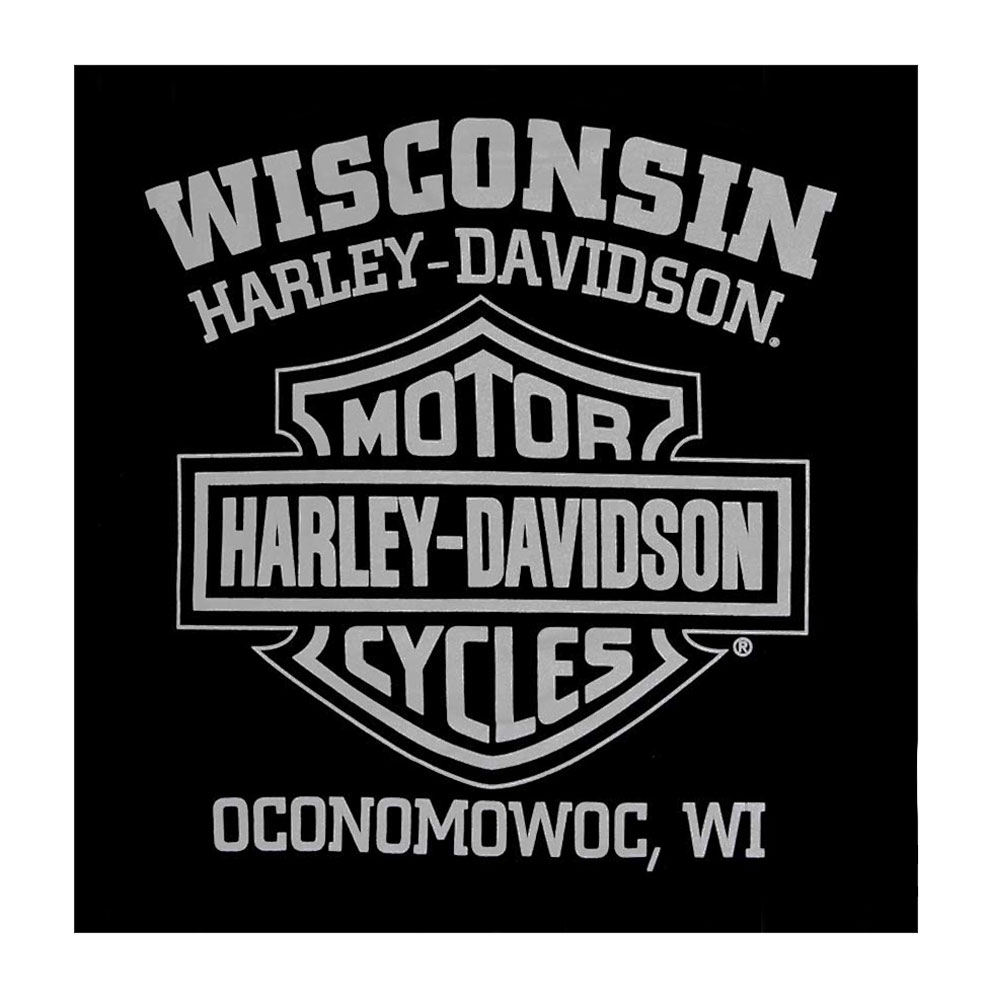 Harley-Davidson Free Shipping - Harley-Davidson Men's Skull & Stripes Short Sleeve Crew Neck T-Shirt, Black - Free Shipping on many products plus Orders Over $99