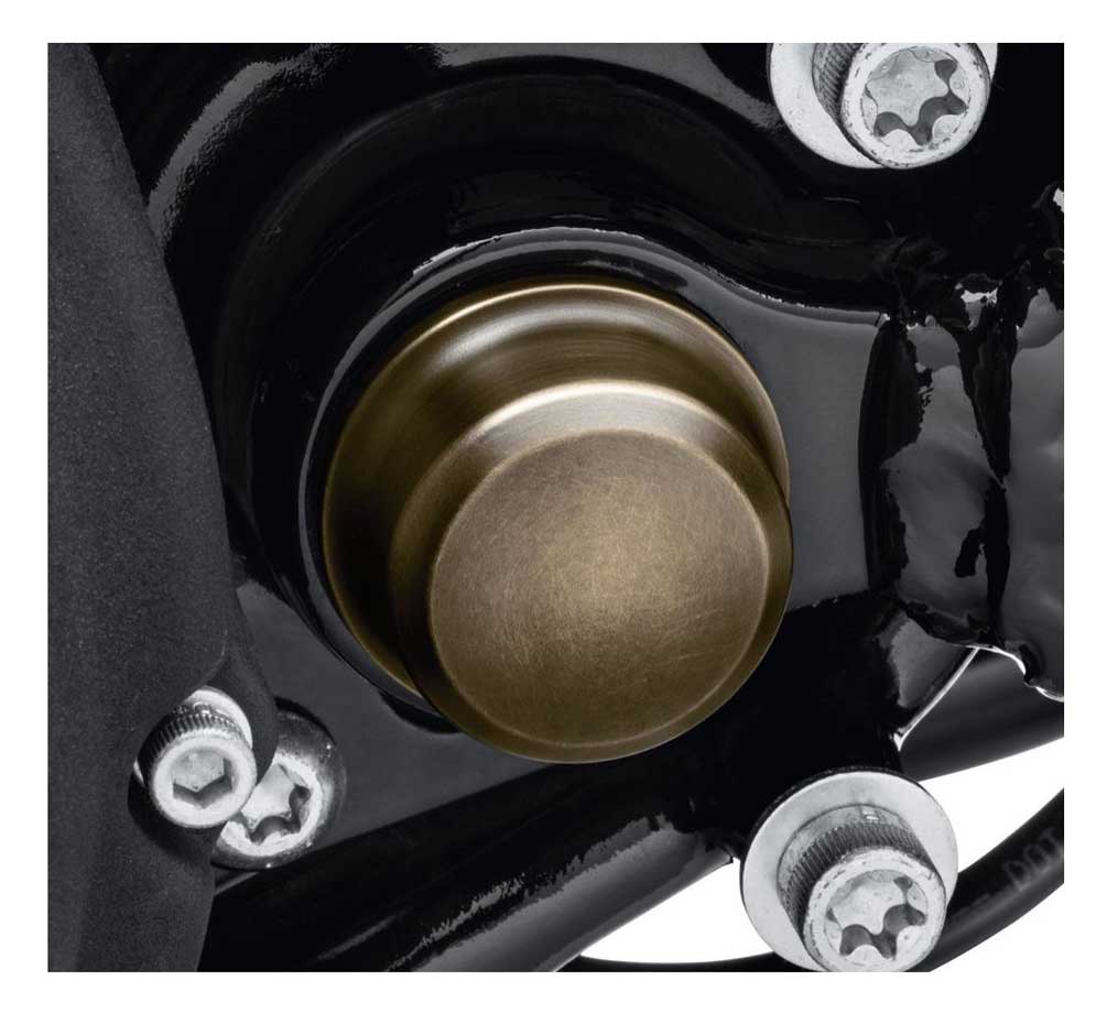 Harley-Davidson Free Shipping - Harley-Davidson Brass Swingarm Pivot Left Bolt Cover - Softail Models 61400344 - Free Shipping on many products plus Orders Over $99