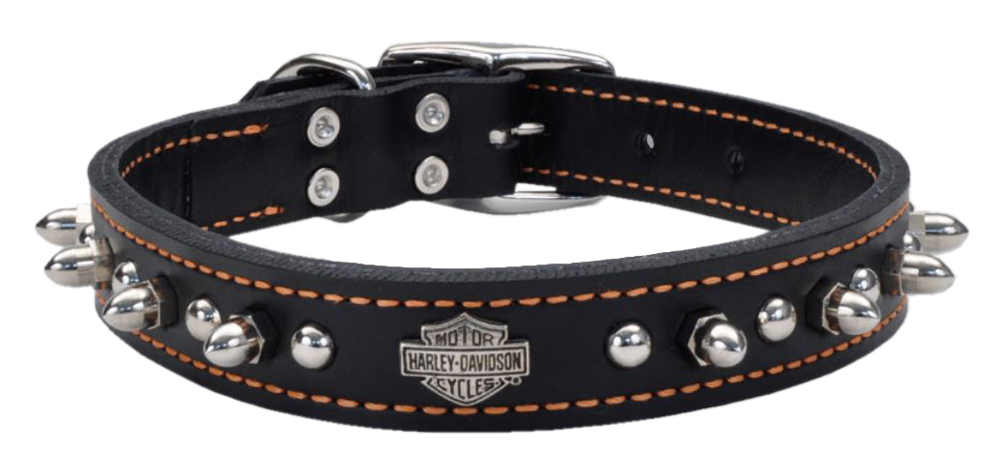 Harley-Davidson 1 in. Adjustable Leather Spiked Premium Dog Collar - 20 in. - Wisconsin Harley-Davidson