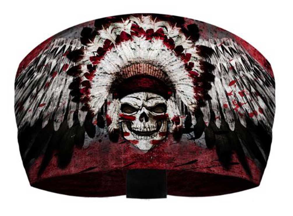 skull harley davidson wrap