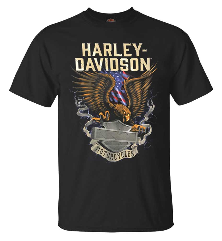 Harley-Davidson® Men's Eagle Block B&S Short Sleeve Crew Neck T