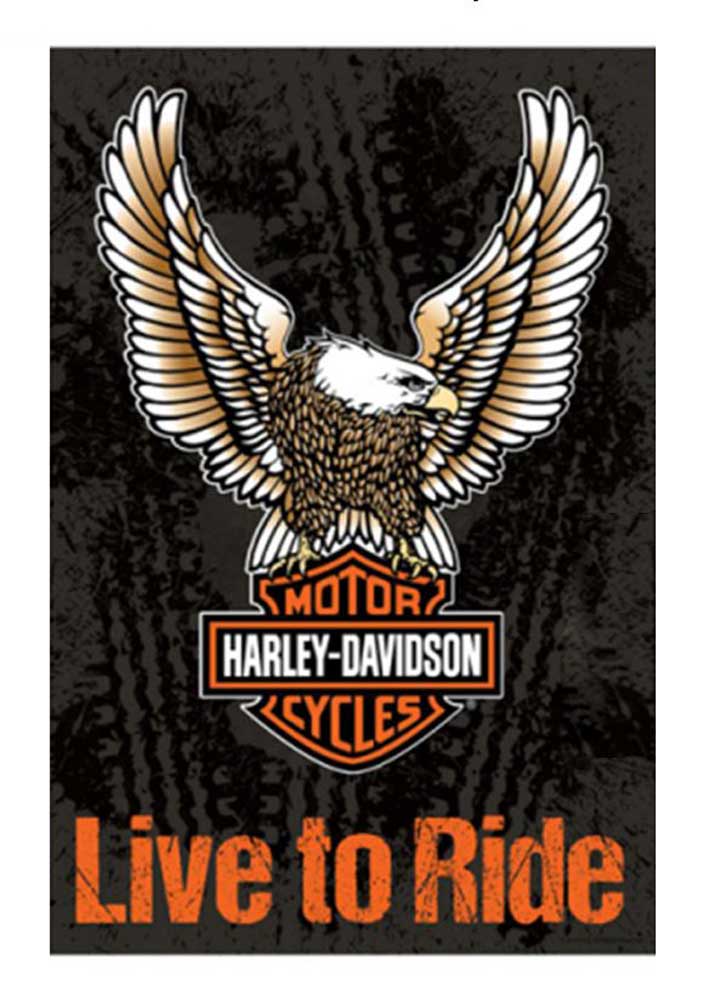 Harley-Davidson Live To Ride Decorative Flag, 29 x 43in - Orange/Black 13S4907FB - Wisconsin Harley-Davidson