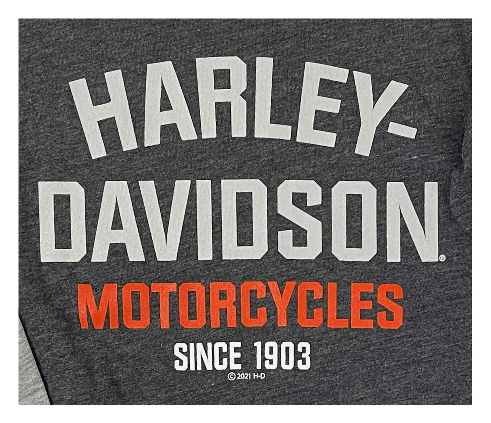 Harley-Davidson Free Shipping - Harley-Davidson Big Boys' T-Shirt, Double Layer Knit Long Sleeve Tee - Gray - Free Shipping on many products plus Orders Over $99