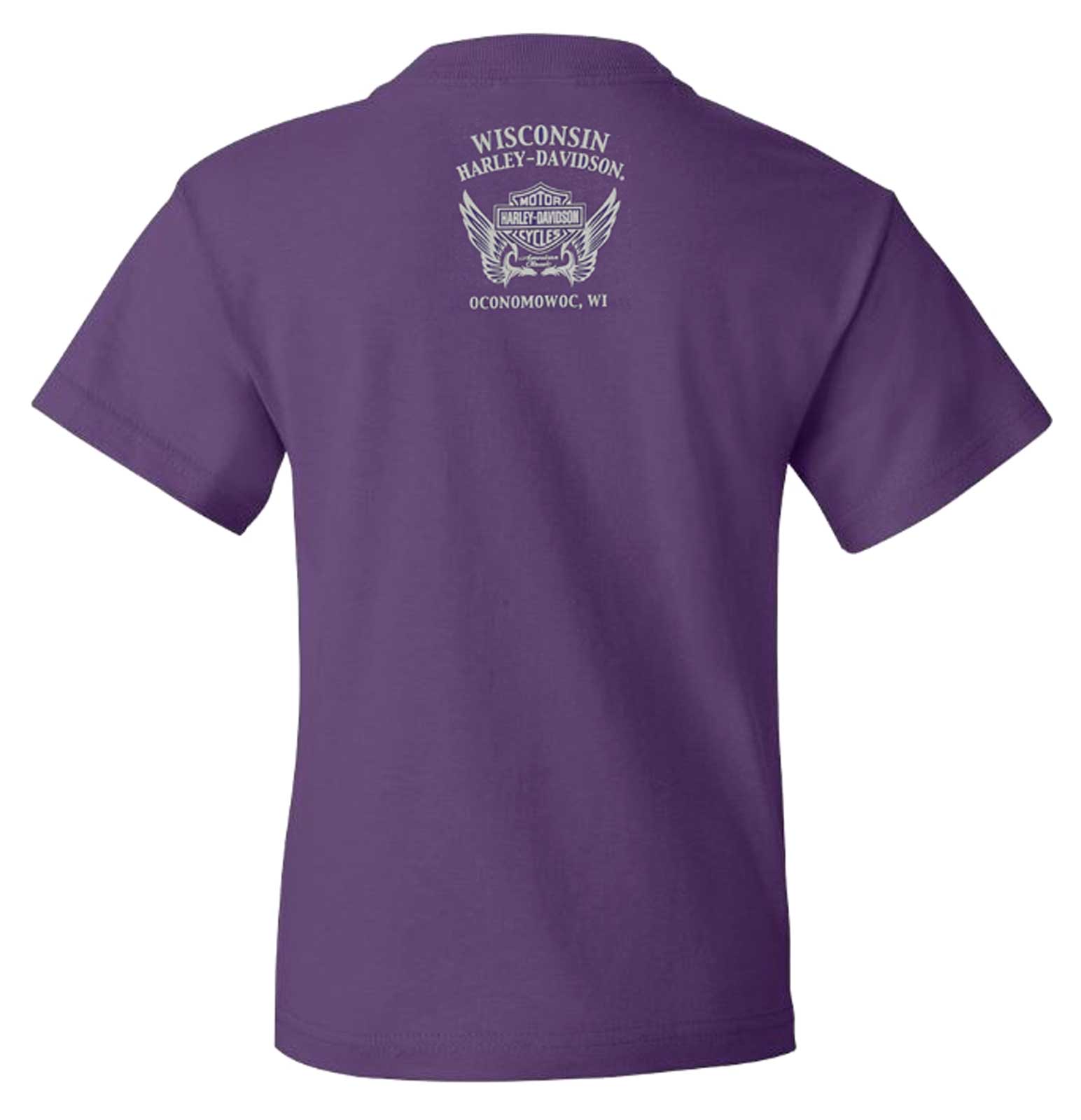 トラ hanes Harley Davidson purple flame Harley Davidson purple flames – Paintsupremacy